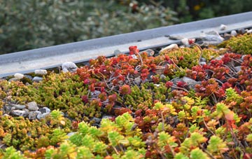 the cost of Clashmore green roof installation