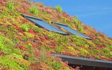 Clashmore living roof systems