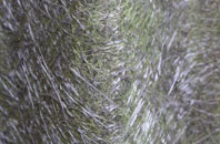 Clashmore fibreglass roof work